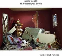 Sonic Youth : The Destroyed Room: B-sides and Rarities